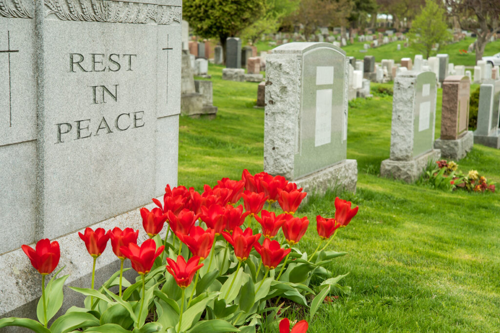 Headstones in a cemetary